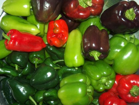 veggie_peppers-5648